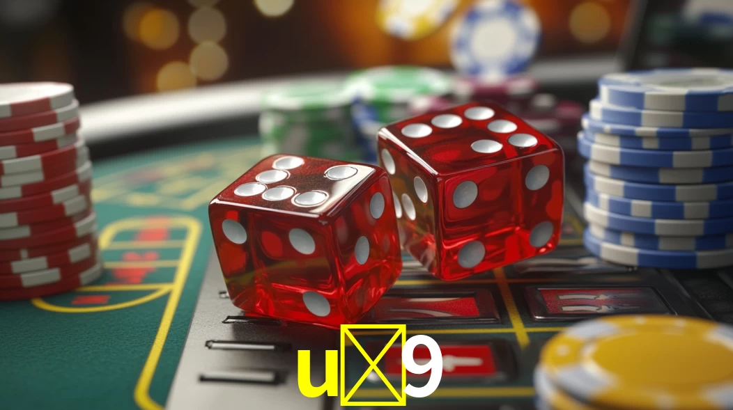 Premium Interface u-9